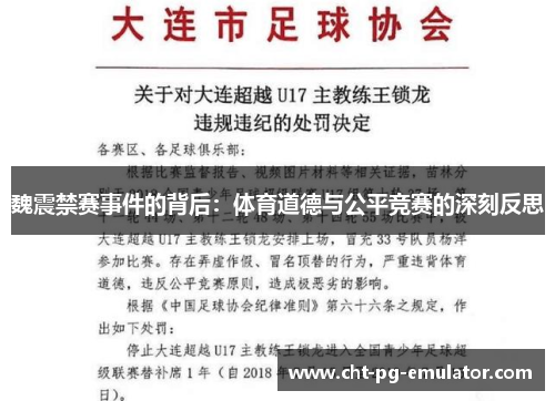 魏震禁赛事件的背后:体育道德与公平竞赛的深刻反思